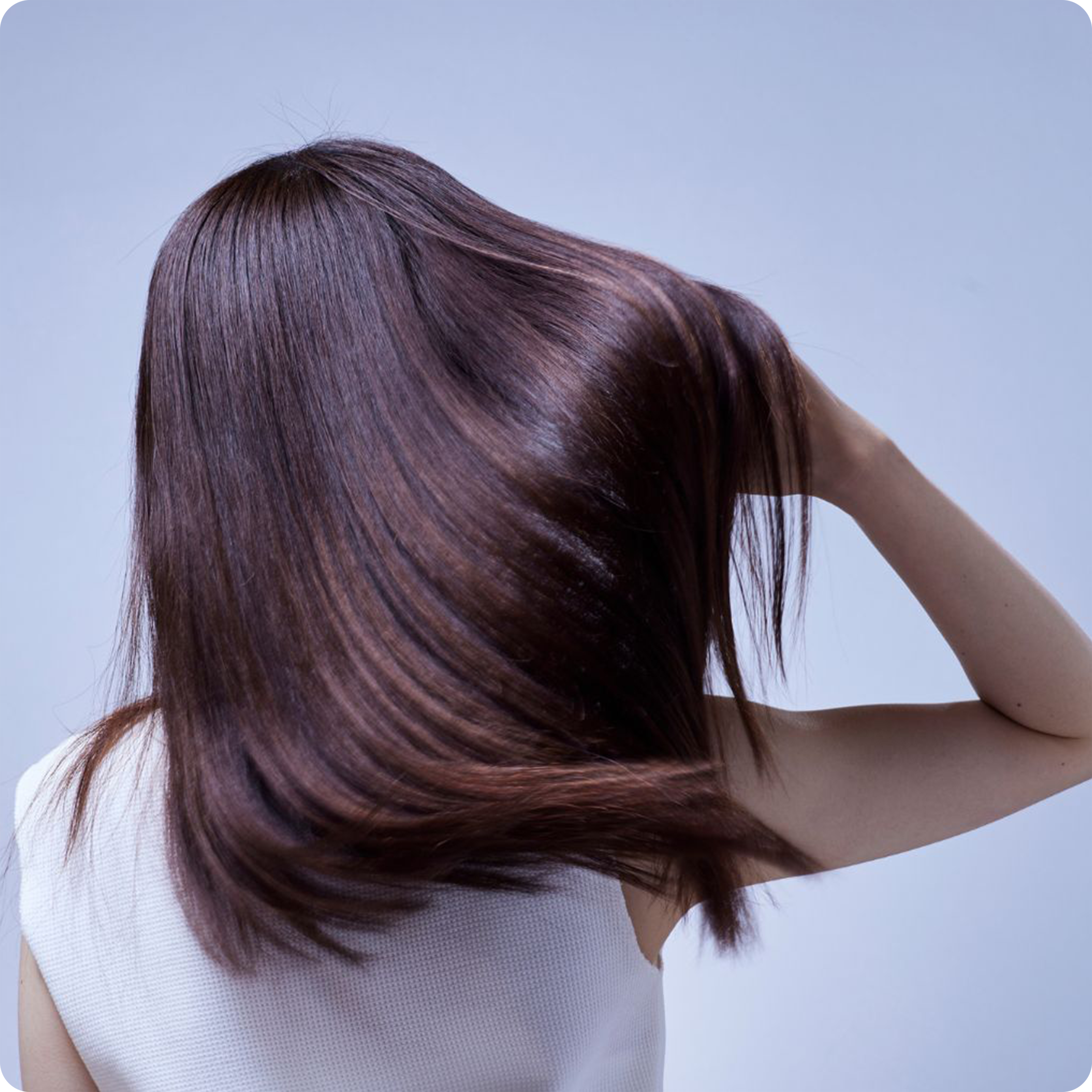 https://cosmic-assets.unicity.com/shop2/JPN/content_images/3c332903991c476982f818f035900f3b/Shampoo_Hair.png