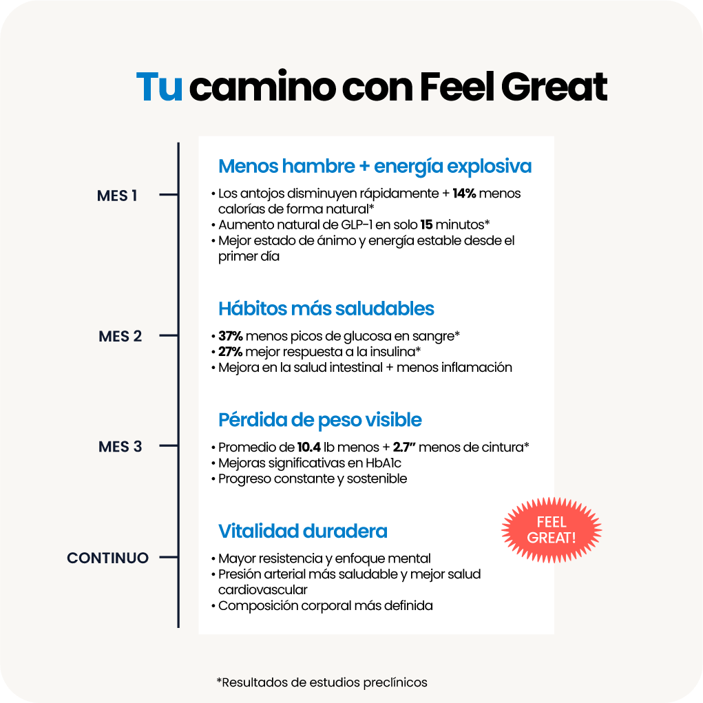 Sistema Feel Great - La práctica gráfica